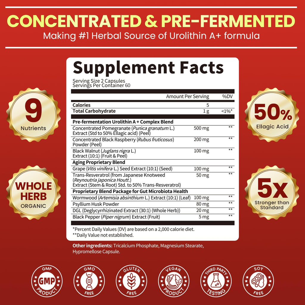 Triple-Strength Urolithin A+ Complex for Cellular Health, Function & Well-Being | Concentrated Pre-Fermented Urolithin A+ Plus Wormwood, Psyllium Husk & DGL for Gut Support–Plant Based, GMP, 120 Count