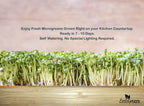 Microgreens Kit Refills - 9 Mats and 9 Different USA Seed Packs