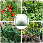 Coloch 100 Pcs Plant Stake Arms for Tomato Cage, 11.8” Expandable Plant Supports Trellis Connector with 2 Buckles for 11mm Diameter Plant Stake, for Climbing Plants, Tomato, Vegetable, Indoor&Outdoor