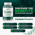 Cistanche Tubulosa with Fadogia Agrestis - Promotes Vitality - Natural Supplements for Men & Women with Bioperine by Powered X Plants, 90 Servings