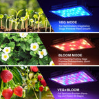 Beelux 1000w LED Grow Light for Indoor Plants Full Spectrum, Upgrade Dual Chips and Dual Switch Plant Grow Lights for Seed Starting Veg and Flower Greenhouse (Actual Power 100W=1000W HPS)