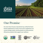 Gaia Herbs Sauerkraut Postbiotic - Gut Health & Immune Support Supplement* - Made with Fermented Sauerkraut - Free from Dairy, Soy & Gluten - 60 Vegan Liquid Phyto-Caps (30 Servings)