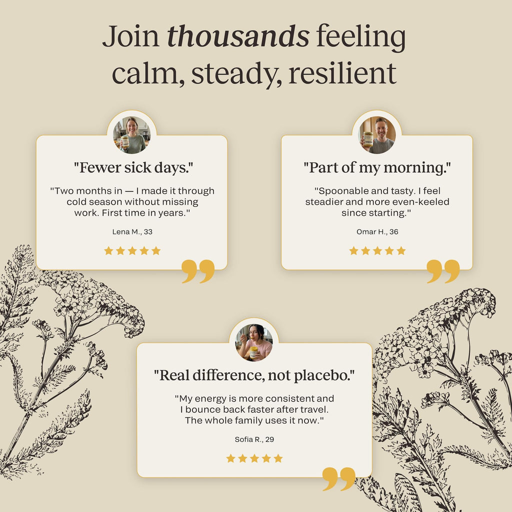 CELTARA Sea Moss Gel Mango Daily Blend, 15 Servings — 2 Tbsp Per Serving, Sea Moss 5.55g, Vitamin C, Magnesium, Potassium + Ashwagandha, Black Seed Oil, Ginger, Monk Fruit Sweetened, No Added Sugar