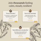 CELTARA Sea Moss Gel Mango Daily Blend, 15 Servings — 2 Tbsp Per Serving, Sea Moss 5.55g, Vitamin C, Magnesium, Potassium + Ashwagandha, Black Seed Oil, Ginger, Monk Fruit Sweetened, No Added Sugar