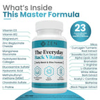 Zen Nutrients The Everyday Back Vitamin for Lower Back Relief & Nerve Function Support Supplement - Back, Disc and Nerve Relief with Alpha Lipoic Acid, Turmeric & Glucosamine (60 Capsules)