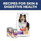 Hill's Science Diet Sensitive Stomach & Skin Dry Dog Food