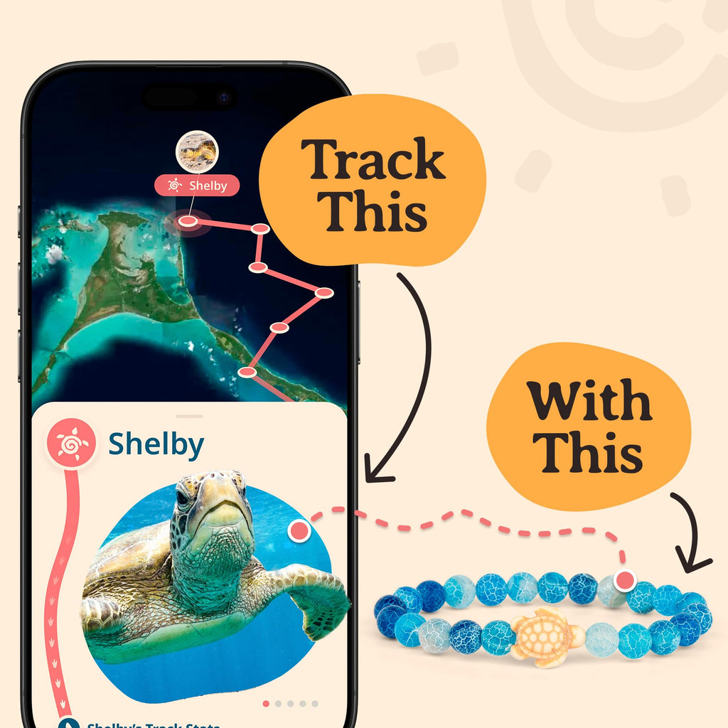 Fahlo Sea Turtle Tracking Bracelet, Sky Stone