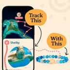Fahlo Sea Turtle Tracking Bracelet, Sky Stone
