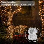 Beieverluck 10 Pack 33FT 100 LED Fairy Lights Battery Operated Fairy Lights with Remote and Timer Waterproof String Lights Outdoor Indoor for Bedroom Wedding Christmas Decorations, Warm White