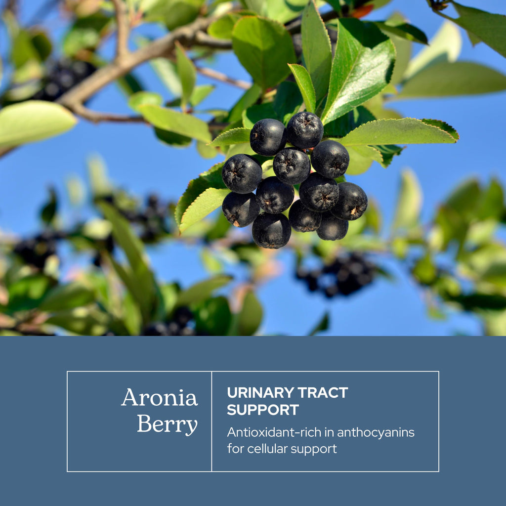 Eclectic Institute Raw Freeze-Dried Organic Aronia Berry Capsules | Supports Heart, Immune System, Digestive, and Urinary Tract Health | 90 CT (450 mg)