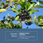 Eclectic Institute Raw Freeze-Dried Organic Aronia Berry Capsules | Supports Heart, Immune System, Digestive, and Urinary Tract Health | 90 CT (450 mg)