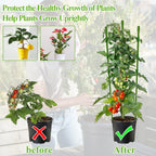 Legigo 6 Pack 30 Inch Plant Support Cages Tomato Cage for Garden- Plant Cages Adjustable Rings, Tomato Plant Support Stakes Trellis for Pots, Peppers, Cucumbers and Flowers with 10 Plant Clips