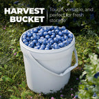 3.5-Gallon Clear Bucket Pail Container with Lid | Food Grade | Heavy-Duty 90MIL Extra Durable | Metal Handles with Plastic Grip for Easy Carrying | Multi-Use | Easy Stack and Store | BPA Free - 2 Pack