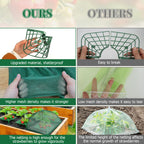 6 Sets Strawberry Plant Support with Mesh Plant Cover, Strawberry Growing Rack Kit with 24 Iron Plant Nails for Garden, Strawberry Growing Frame with Protective Net for Strawberries Tomatoes Veggies