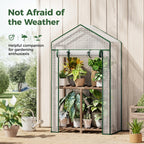 Bamworld Mini Greenhouse Indoor Small Portable 2-Tier Green House for Seed Starting Plant Grow Warmer and Home Gardening Display