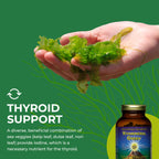 HEALTHFORCE SUPERFOODS Vitamineral Green - Mineral Supplement for Immune & Thyroid Support - Green Powder Supplement with Ingredients from The Land - Gluten-Free & Vegan - 120 Capsules