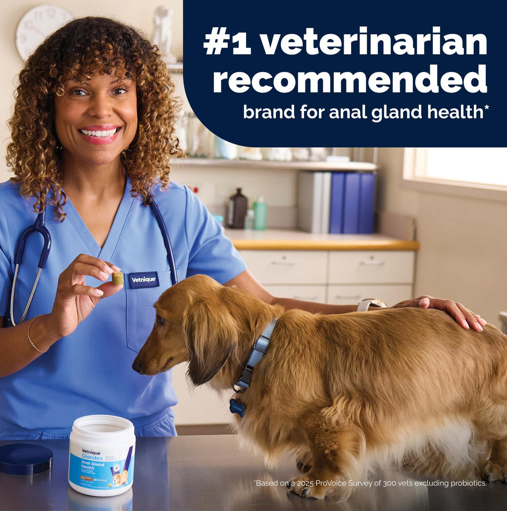 Vetnique Glandex Advanced Strength Anal Gland Chews for Dogs, 60ct