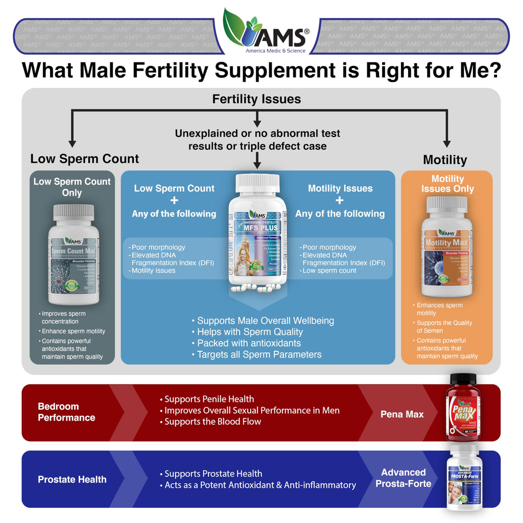 Motility Max – Supports Sperm Motility & Reproductive Health Promotes Healthy Blood Flow, Libido & Testosterone Levels Antioxidant Formula with L-Arginine, L-Carnitine & Essential Nutrients 60 Capsule