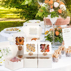 ZYFOTZUN 12 Pcs Cookie Boxes with Window, 6x6x3 inches, for Dessert Pastry