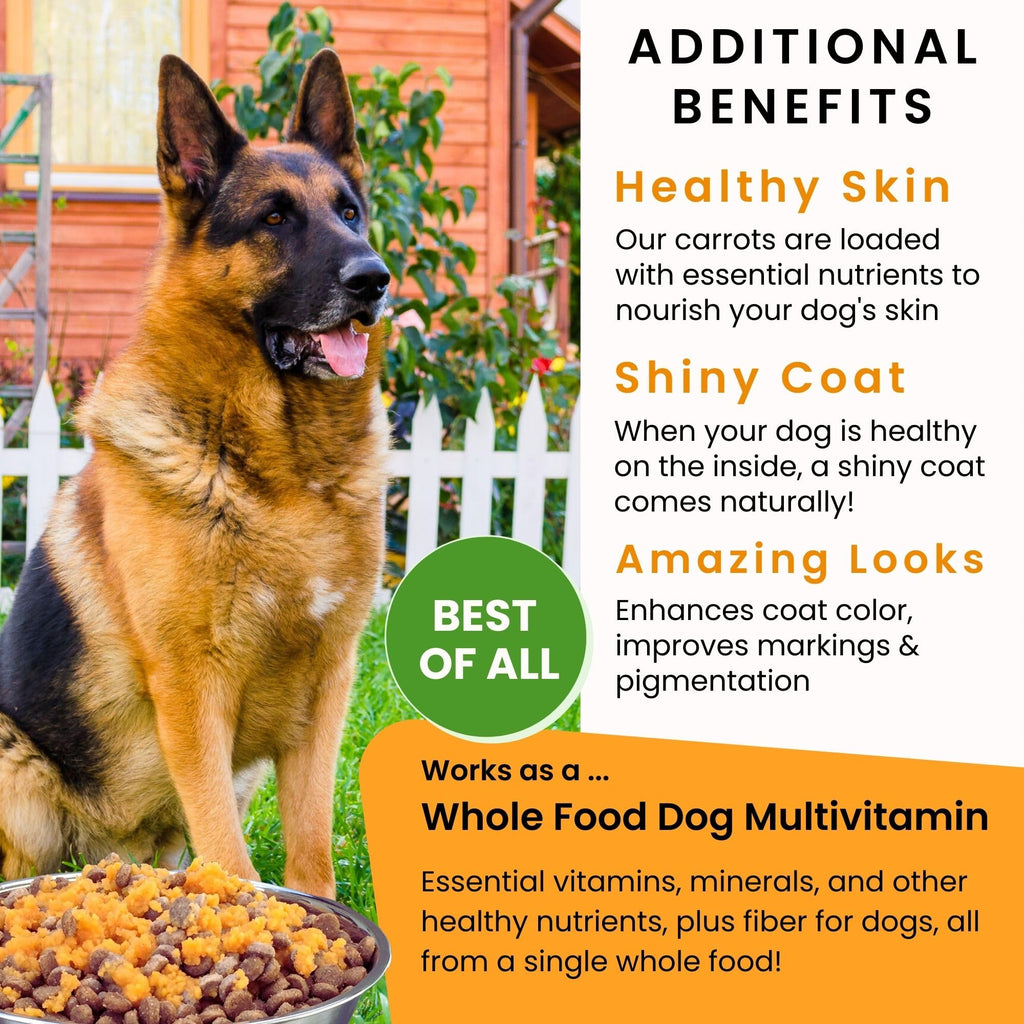 Olewo Carrots Digestive Dog Food Supplement, effective dog diarrhea relief for over 35 years, adds natural source vitamins to any dog food to promote overall health, 1-ingredient, non-GMO product, Made in Germany, 2.2 Pounds