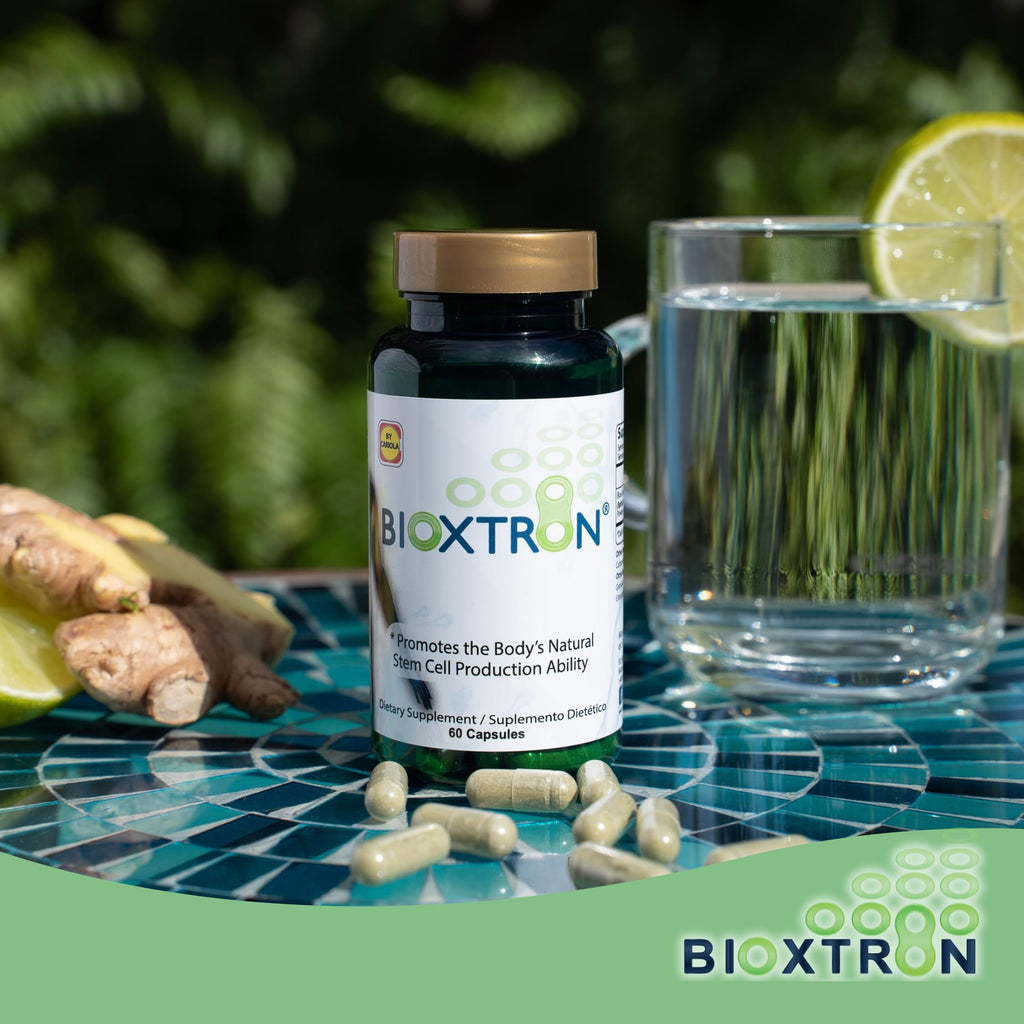 Bioxtron Natural AFA Stem Cell Supplement 60 Capsules Pack of 3 - Stem Cell Production - Energy Levels - Joint & Muscle