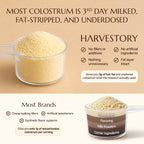 Harvestory Grass-Fed Bovine Colostrum Powder - First-Day Milking, Unstripped Full-Fat - Supports Gut Health, Immunity, Skin & Hair - Unflavored, Non-GMO, Made in USA, 30 Servings