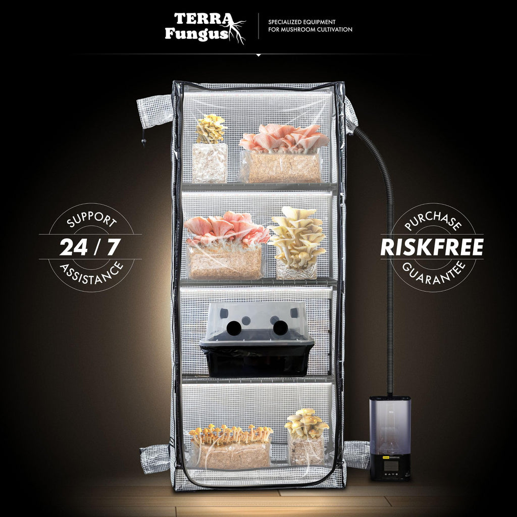 Mushroom Grow Tent with 6500K LED Light & Timer, 4-Tier Shelves
