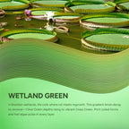 OVERTURE Rock PLA Filament 1.75mm, Marble PLA, 1kg Wetland Green