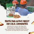 Snack The True Organic Brazil Nuts Medium Size 32 oz-2lbs – Raw and Unsalted – Kosher – Healthy-Rich in Vegetable Protein – Harvested in Amazon Rainforest – Fresh, Vegan and Gluten Free – Forest Up
