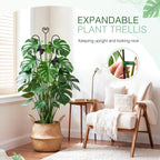 MEILIDY 32.6 Inch Expandable Plant Trellis with Tape Tie, Black, 2 Packs