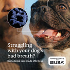 PetLab Co. ProBright Dental Powder for Medium Sized Dogs