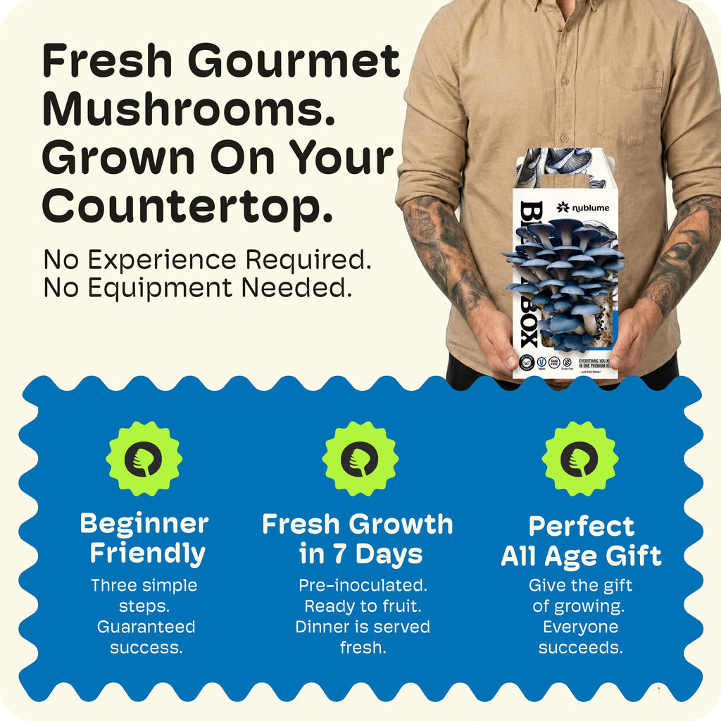 BloomBox Blue Oyster Mushroom Grow Kit – Spray & Grow – Pre-Inoculated Indoor Mushroom Farm – Beginner Friendly – Harvest Fresh Gourmet Mushrooms in Days – Perfect Gift