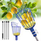 RAIN SPIRIT Fruit Picker Pole tool with Basket, 6FT Telescoping extension fruit picking rod for Apples Mango Orange Pear Tree Picker, nut picking with Adjustable stainless steel rod