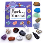 DANCING BEAR -15 Pc Rock & Mineral Collection with Collector Box/Display Case, ID Sheet, Rock Book, Magnifying Glass, Beginner Starter Set, Kids' Gemstone Crystal Kit, STEM Geology Science Education