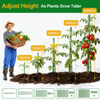 WAENLIR Garden Stakes16 Inch 48 Pack, Tomato cage DIY 4ft 5ft 6ft 7ft 8ft Plant Support Stakes with Connectors and Clips, Plastic Coated Metal Sticks for Tomato Indoor Outdoor