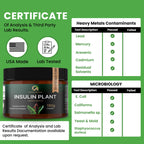 Afiyah Organic - Premium Quality Costus Igneus (Insulin Plant) Powder - No Bad Taste (2 Month Supply) - Made in the USA - Including Complete Health Support Program