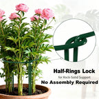 AMAGABELI 6 Pack 16 Inch Plant Support Stakes Peony Cage Heavy Duty Ring Metal Garden Support Structures Plant Cage with Ties for Indoor Flower Outdoor Tomato Hydrangea Monstera