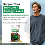 LABO Nutrition Brazilian Green Propolis Ultimate - Contains >7% or 28mg per Serving Artepillin C & >5% Flavonoids, for Immune & Brain Support, Natural, High Concentrate & Premium, 60 Veg Capsules