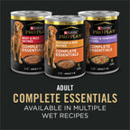 Purina Pro Plan Complete Essentials Salmon & Rice Dry Dog Food, 33 lb Bag