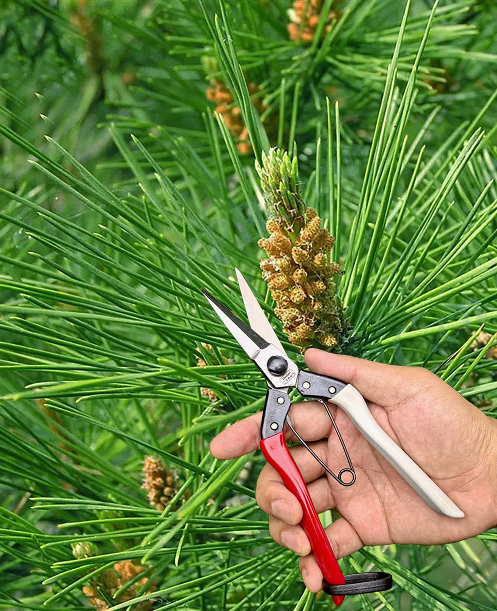 Double-Edge Garden Shears Micro-Tip Pruning Shears Extra Heavy Straight Garden Scissors Effortless Cuts Pruning Shears for Gardening Clippers for Plant Herb Flower Harvesting Fruits vegetables