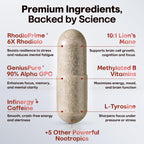 Nootropic Strongest Focus Supplement - Clinically Backed Ingredients Made in USA - Scientifically Backed Doses - Supplement for Brain Fog - AlphaGPC, Lions Mane, Rhodiola and More 10:1 90 Capsules