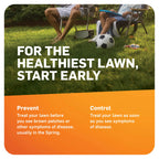 Scotts DiseaseEx Lawn Fungicide, 10 lbs.