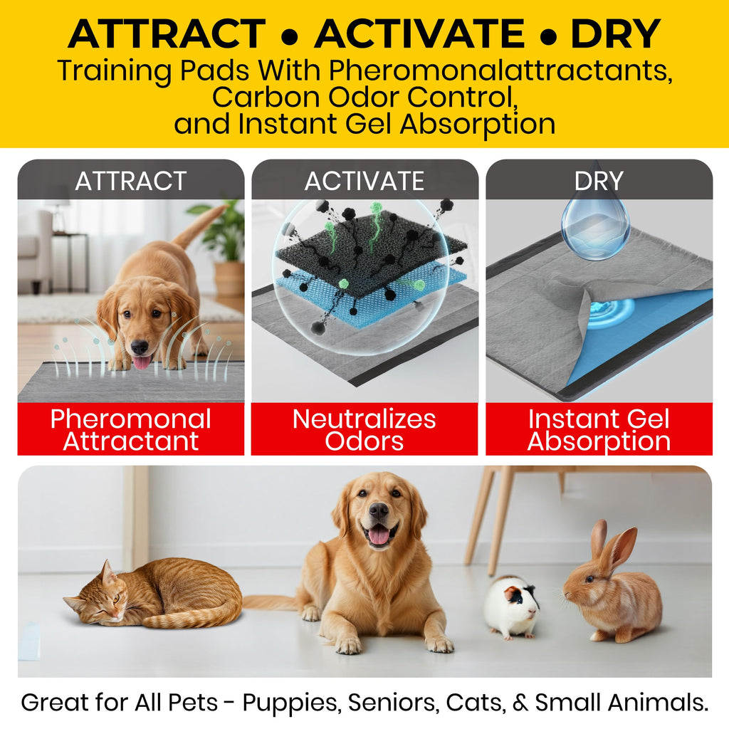Glad for Pets, Activated Carbon Disposable - Dog Pee Pads, 100 Count Large
