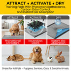 Glad for Pets, Activated Carbon Disposable - Dog Pee Pads, 100 Count Large
