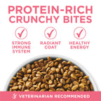 Purina ONE High Protein Natural Kitten Dry Cat Food, 7 lb Bag