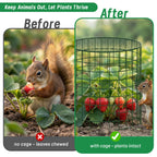 Convivium Plant Protectors from Animals 6 Packs, 13 x 12 in Metal Chicken Wire Cloche Plant Cages for Outdoor Plants, Garden Fencing Animal Barrier with Detachable Dome Lid, Stakes & Zip Ties