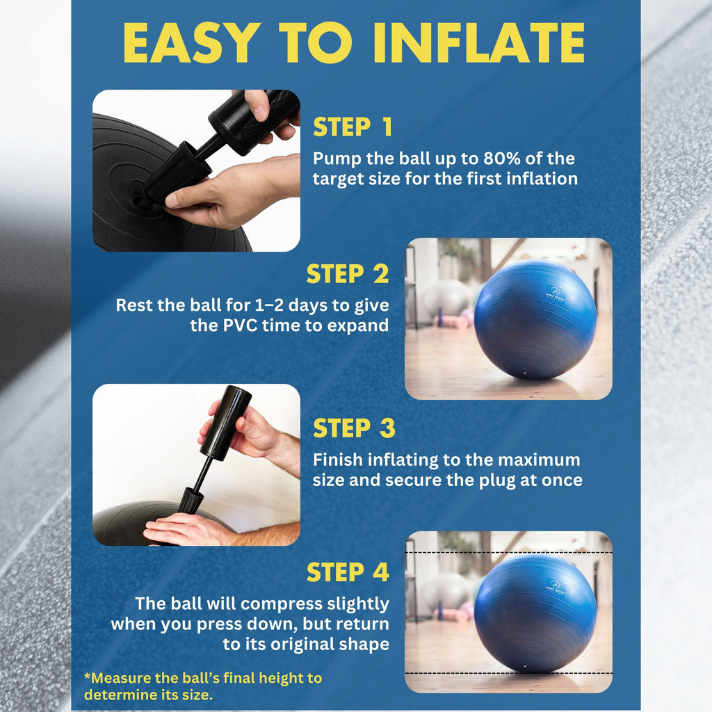 ProBody Pilates Exercise Ball - Multiple Sizes Gym Grade Balance Ball for Fitness, Workout, Pregnancy & Physical Therapy, Stability Yoga Ball Chair (Blue, 55cm)