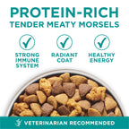 Purina ONE Plus Digestive Health Dry Dog Food, Chicken, 31.1 lb Bag