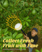 BlumeTrec 6.5FT Fruit Picker with Basket, Apple Picking Tool 35–77 Inch Adjustable Pole, Long-Handle Mango Grabber, Tree Fruit Catcher for Harvesting Lemon Pear Orange Avocado Peach Citrus Grapefruit