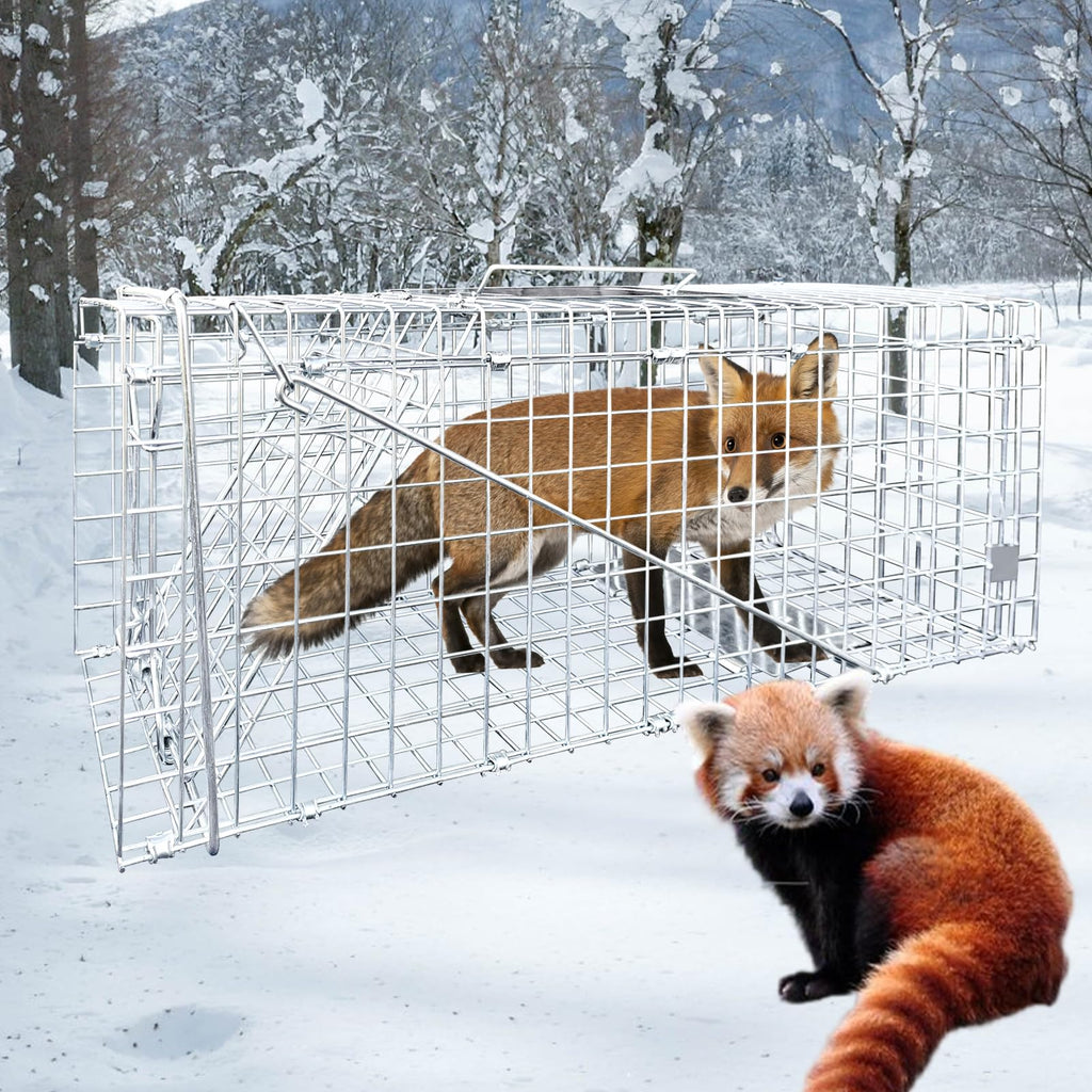 Large Live Animal Trap for Fox,42.5" X15 X17 Extra Large Animal Trap, Live Animal Traps cage for Raccoons Heavy Duty,Fox Traps for Trapping,Coyotes,Humane Catch and Release